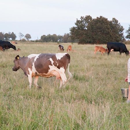 Agroturystyka Lolkowo Srokowo 外观 照片
