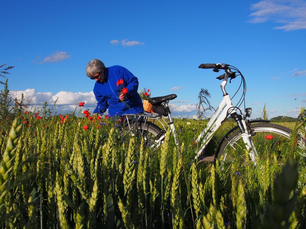 Agroturystyka Lolkowo Srokowo 外观 照片